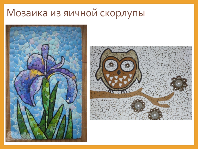 Рисунок из скорлупы