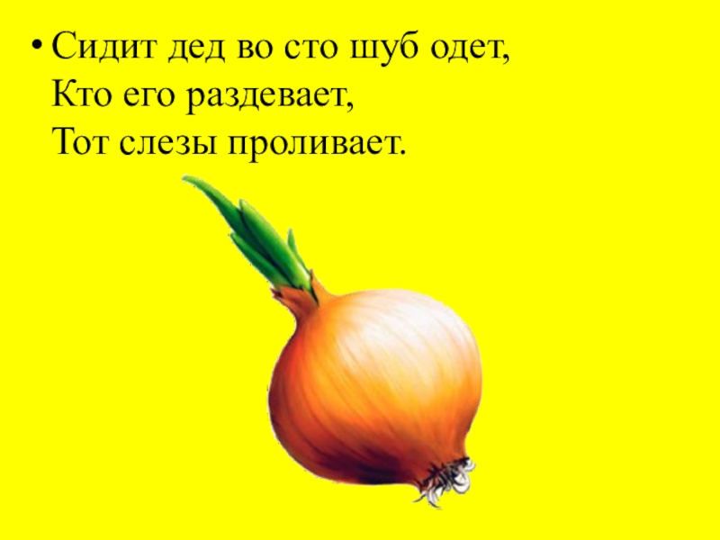 Кто деда одевает тот слезы. Сидит дед во СТО шуб одет. Загадка сидит дед во СТО шуб одет. Сидит дед во СТО шуб одет кто его раздевает тот слезы проливает. Сидит дед во СТО.