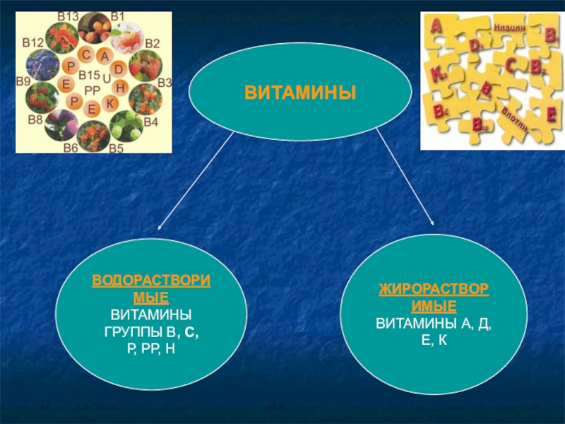 Водорастворимые витамины картинки