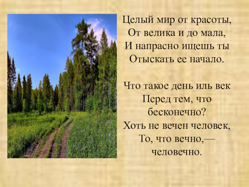 Анализ стихотворения целый мир от красоты фет по плану