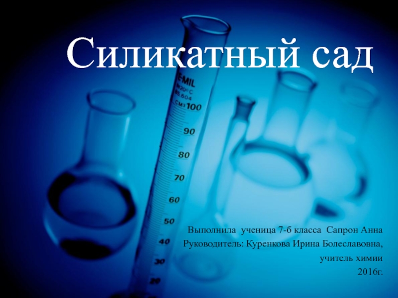 Силикатный садВыполнила ученица 7-б класса Сапрон АннаРуководитель: Куренкова Ирина Болеславовна, учитель химии2016г.