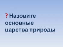 Презентация к уроку биологии Простейшие (7 класс)