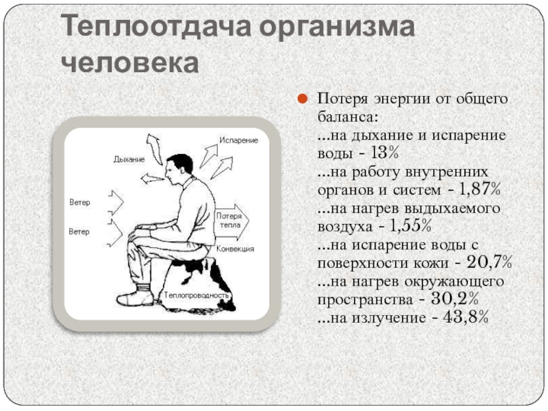 Физические основы дыхания физика презентация - 95 фото