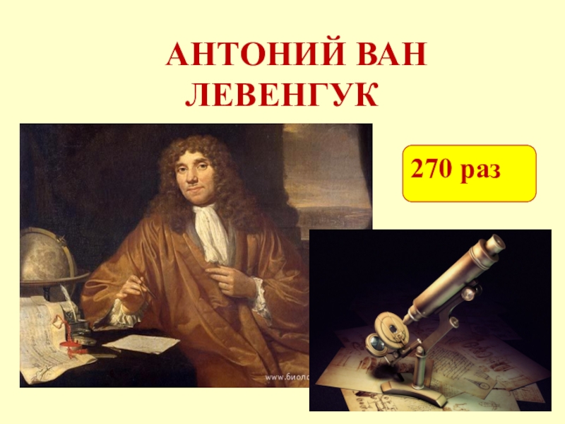 Антоний ван левенгук. Голландец Антони Ван Левенгук. Ученый Антони Ван Левенгук. Антони Левенгук портрет. Антоний Ван Левенгук микроскоп.