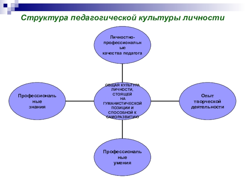 Структура педагогики