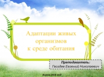 Презентация по биологии на тему Адаптации живых организмов к среде обитания