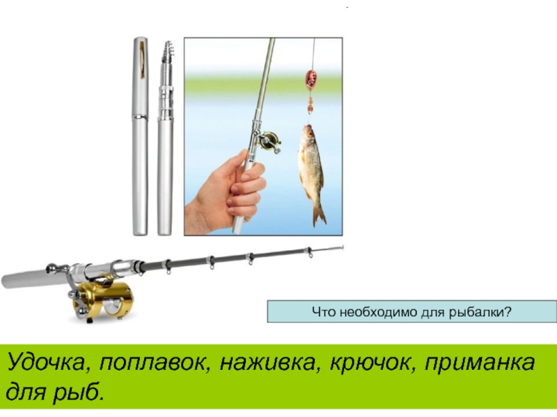 Удочка, поплавок, наживка, крючок, приманка для рыб. Что необходимо для рыбалки?