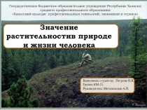 Презентация у уроку Значение растительности в природе и жизни человека
