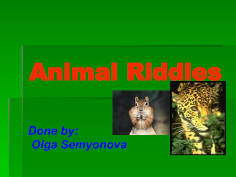 Презентация по английскому языку на тему Animal Riddles (Загадки по теме Животные для начальных классов)