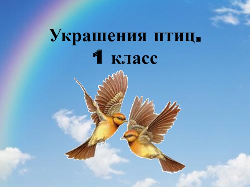 Сеф чудо презентация урок 1 класс школа россии