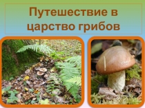 Презентация по окружающему миру на тему Виды грибов