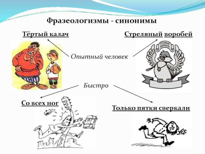 Фразеологизмы 5 класс презентация