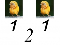 Презентация Сложение в пределах 5