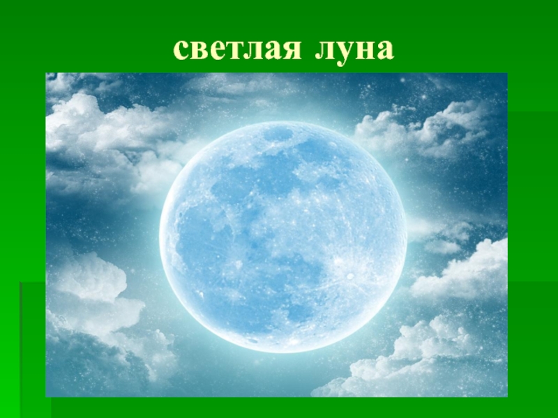 Светлая луна. 12 Светло лунные. Книга светлая Луна. Книга одна светлая Луна.