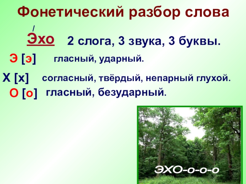 Эхо х. Звуковой анализ слова Эхо. Фонетический разбор слова Эхо. Звуко буквенный анализ слова Эхо. Эхо фонетический анализ.