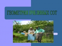 Презентация Геометрия пчелиных сот