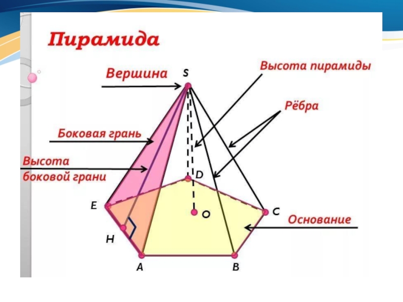 Пирамида геометрия 10 класс атанасян презентация. Строение пирамиды геометрия. Пирамида вершины ребра грани основание. Основные элементы четырехугольной пирамиды. Правильная пирамида геометрия 10 класс.