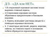Урок презентация - Внешнее строение стебля