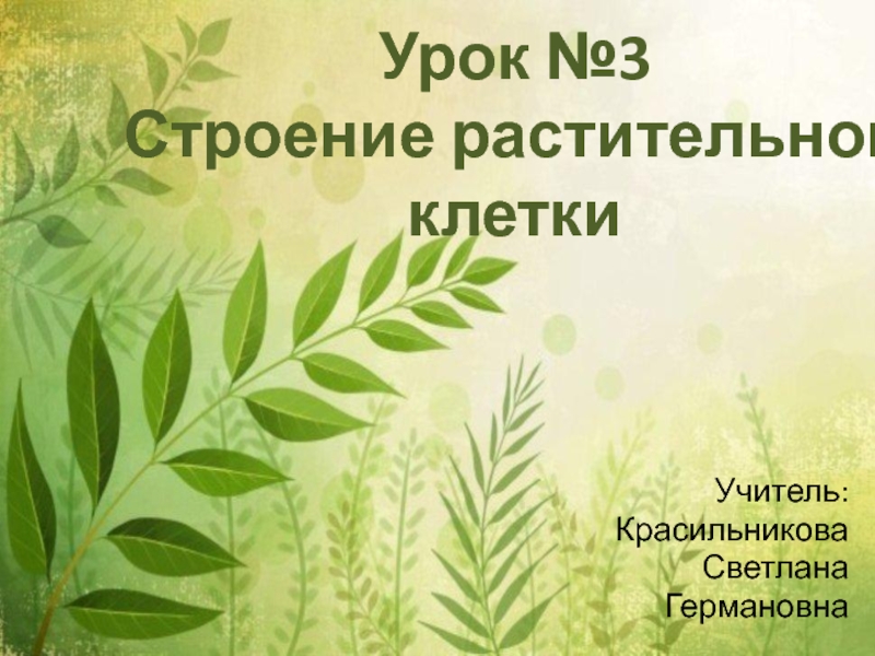 Презентация по биологии на тему Строение растительной клетки