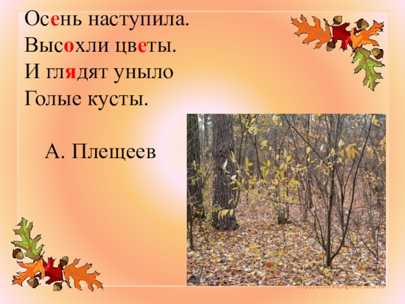 Песня осень наступила и вянут. Золотая осень Плещеев. Осень наступила. Плещеев осень наступила. Осень наступила высохли цветы.