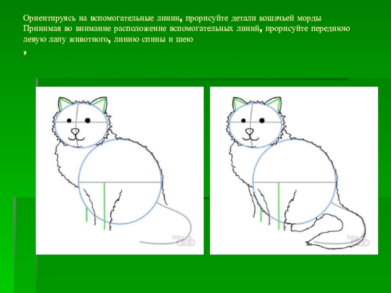 Урок животные 2 класс. Анималистический Жанр рисунки поэтапно. Рисунки карандашом по этапно. Вспомогательные линии в рисунке. Выражение характера изображаемых животных кошки.