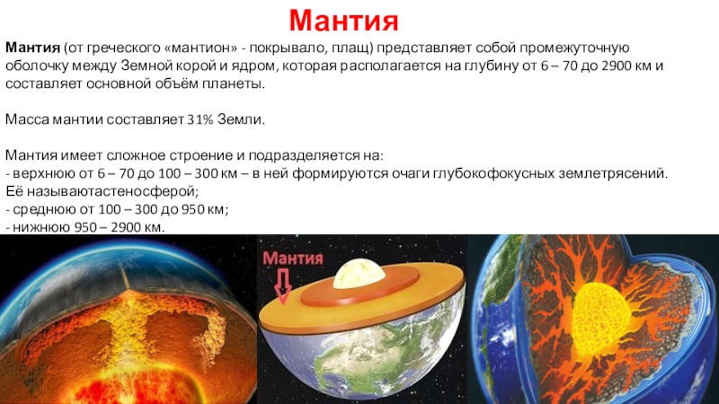 Мантия представляет собой. Мантия это в биологии. 1. Мантия представляет собой:. Мантия представляет собой ответ.