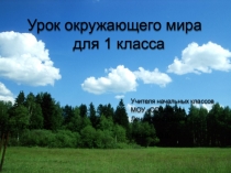 Презентация к уроку окружающего мира Равновесие в природе