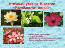 Обобщающий урок по биологии в 6 классе Калейдоскоп знаний.