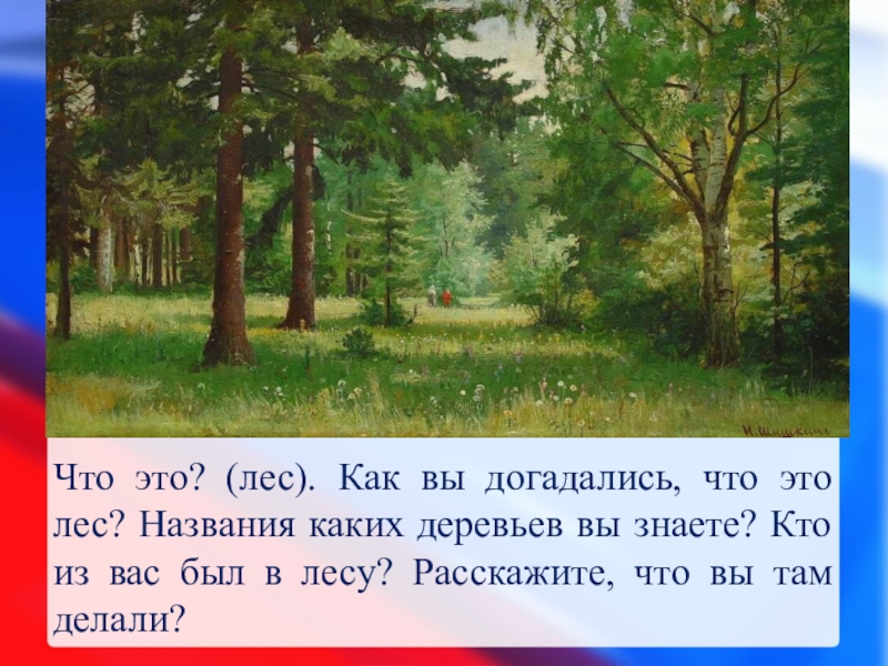 Дойдя до опушки леса. Название заголовков к лесу. Опушка леса что это простыми словами. Лес опушка. Что такое опушка леса своими словами для школьников.