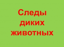 Презентация по ОБЖ Следы диких животных