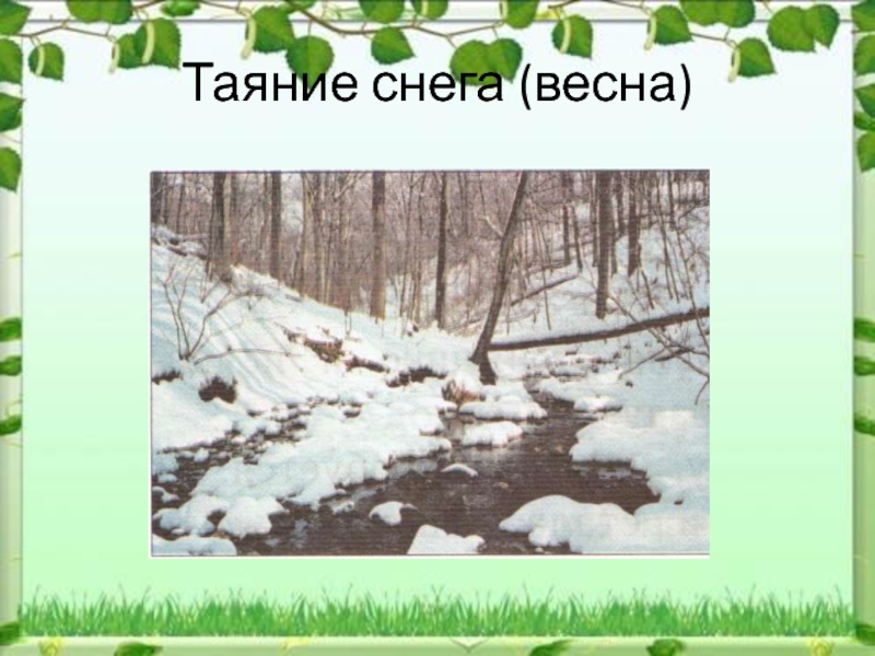 Химическое явление таяние снега. Описать снег весной. Таяние снега весной какое явление. Описание снега весной. Природные явления снег весной.