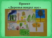 Экологический проект Деревья вокруг нас
