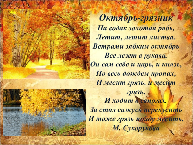 Октября сообщений. Октябрь грязник. Октябрь грязник листопад. Октябрь грязник, ноябрь. Октябрь листопад грязник зазимник.