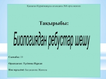 Презентация по русскому языку на тему РЕБУС (11 класс)