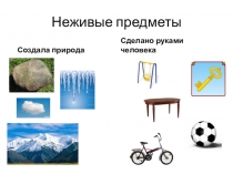 Презентация по окружающему миру Живое и неживое