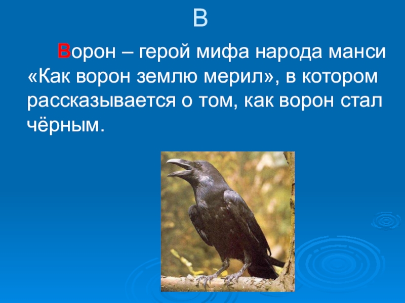 Герой ворона. Как ворон землю мерил. Манси как человека сделали как ворон землю мерил. Вороний язык. Рассказ о вороньем дне.