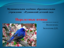 Презентация по окружающему миру на тему Перелетные птицы