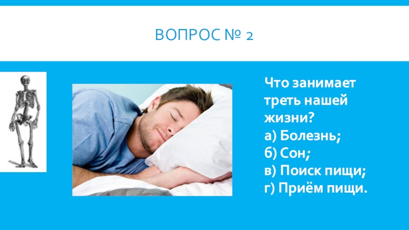 Сон занимает. Сон занимает треть нашей жизни. Что занимает треть нашей жизни?. Занимательная анатомия презентация. Сколько сон занимает в жизни человека.