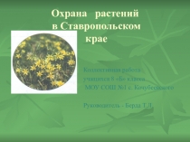 Презентация по географии на тему Охрана растений в Ставропольском крае