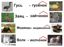 Суффиксальный способ образования слов