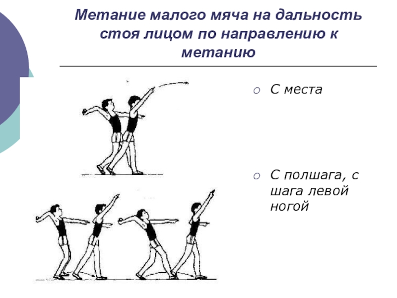 План конспект урока по физической культуре 3 класс метание мяча