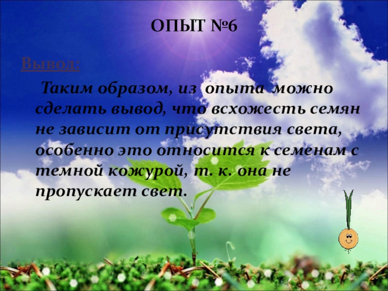 Презентация на тему условия прорастания семян 6 класс