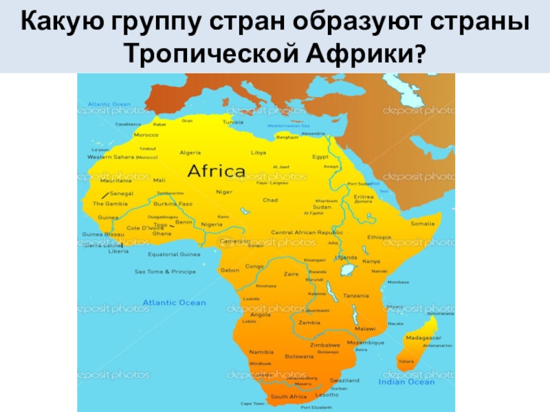 Страны тропической Африки. Тропическая Африка. Государственный язык тропической Африки. Тропическая Африка и ЮАР презентация 11 класс Полярная звезда.