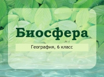 Презентация к уроку географии 6 класса Биосфера