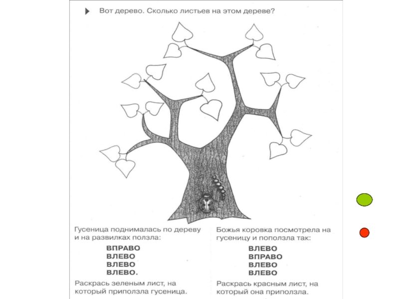 Расположение рисунка на листе бумаги