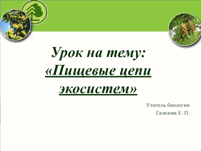 Урок на тему: «Пищевые цепи экосистем»     Учитель биологииГазизова Е. П.