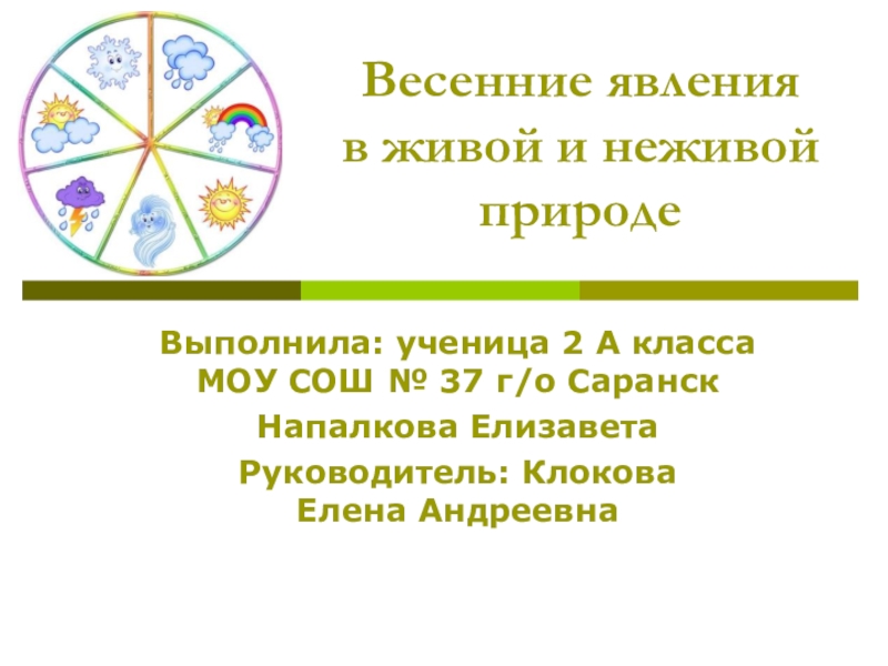 Весенние явления в живой природе презентация