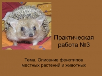 Практическая работа Описание фенотипов местных растений и животных Генетика 10 класс