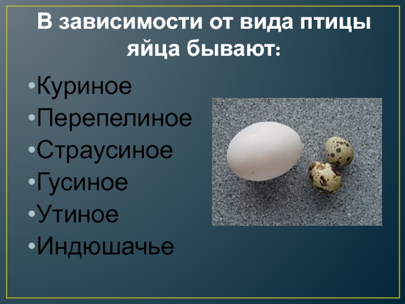 В зависимости от вида птицы яйца бывают:КуриноеПерепелиное СтраусиноеГусиноеУтиноеИндюшачье