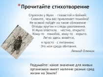 Презентация по биологии Среды жизни ( 5 класс)